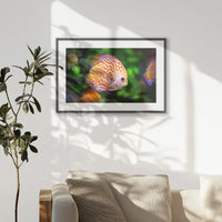 PKP093W062
