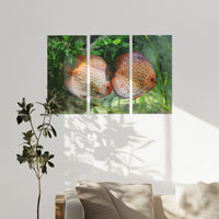 AL-180R120