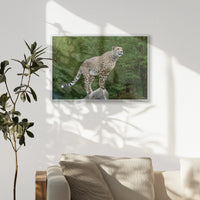 PS-093W062