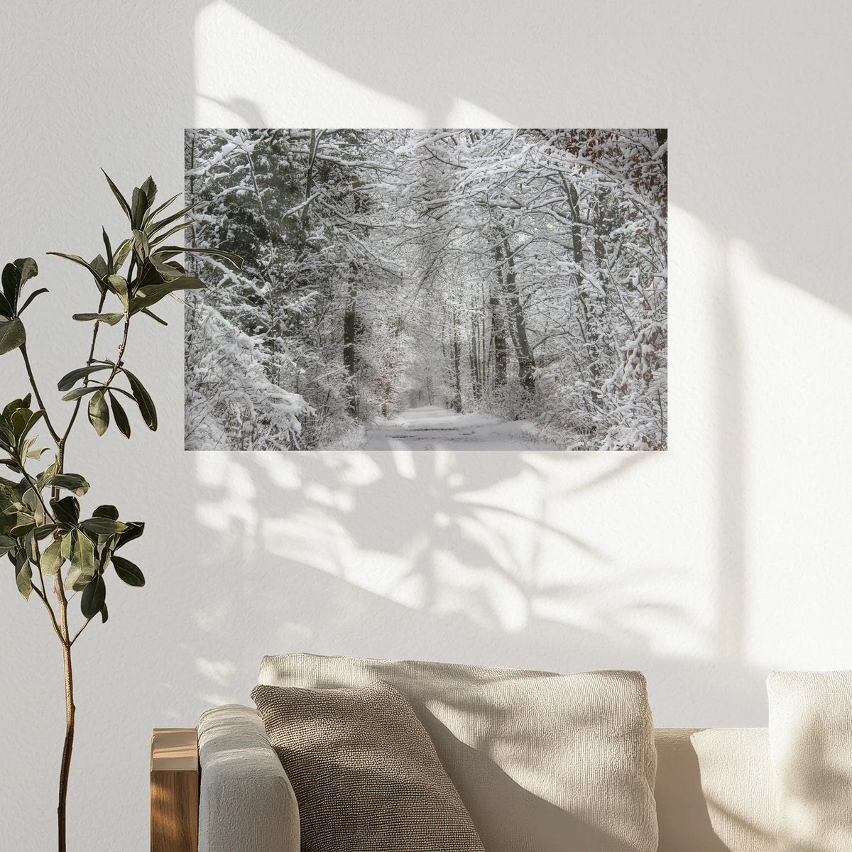 PO-075W050