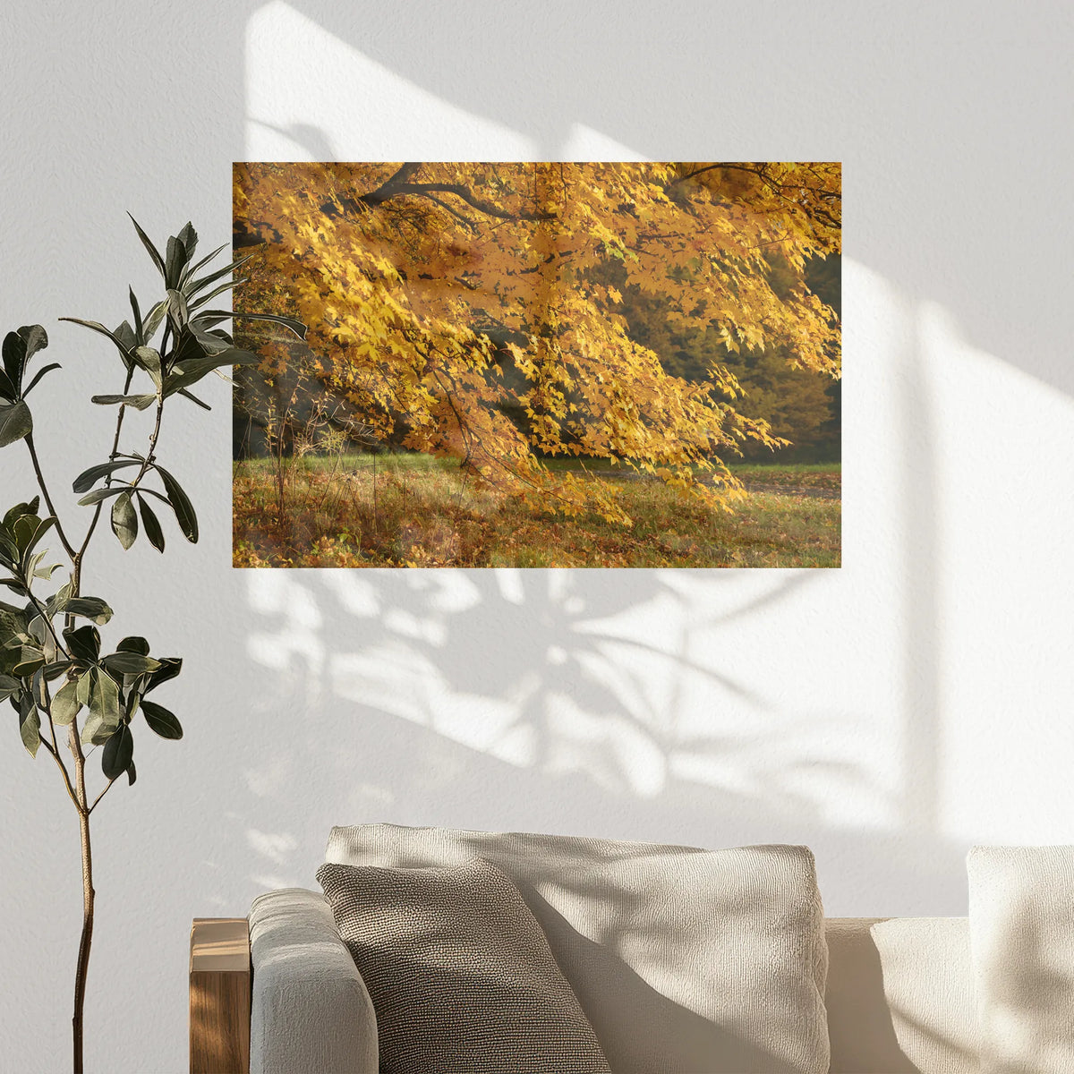 PO-090W060