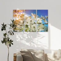 LW-120R080