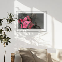 PBP093W062