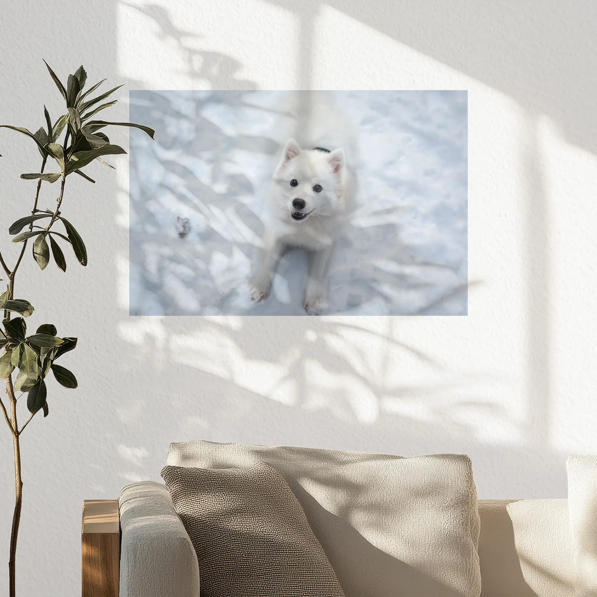PO-030W020