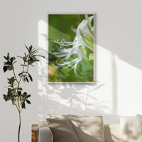 PN-070W100
