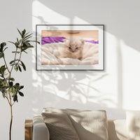 PBP093W062