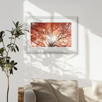 PWP060W040