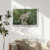 LWW060W040
