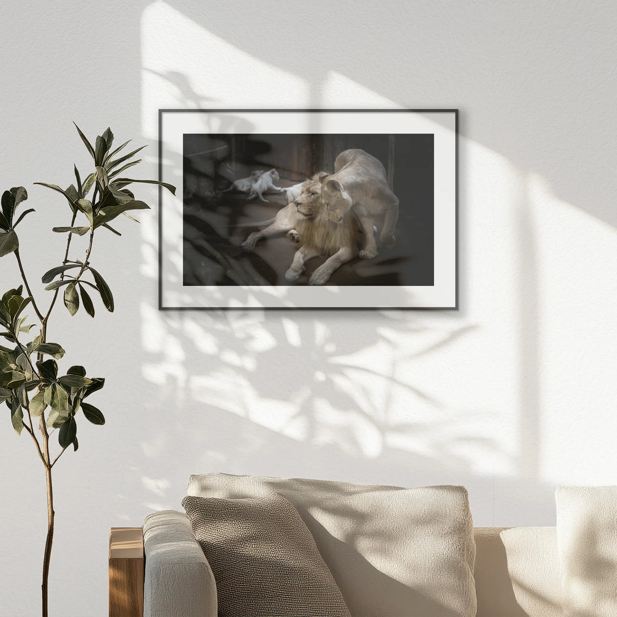 PBP093W062