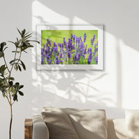 PSP093W062