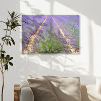 AC-045W030