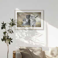 PNP100W070