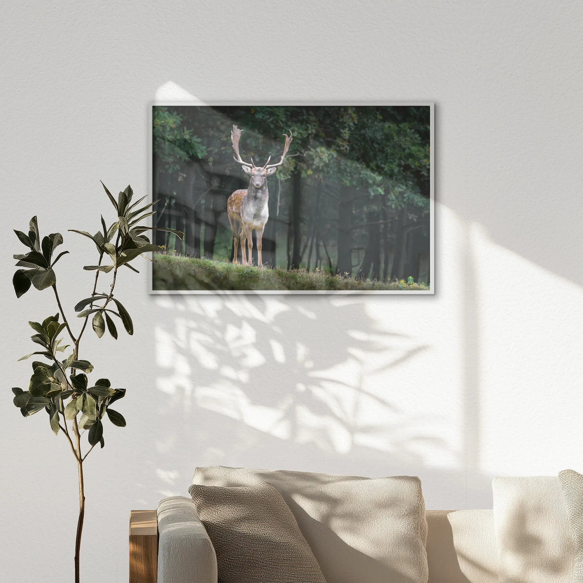 LWW120W080