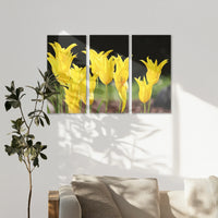 AC-120R080