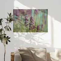 PO-090W060