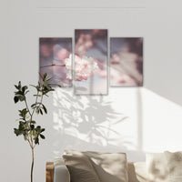 LW-150T100
