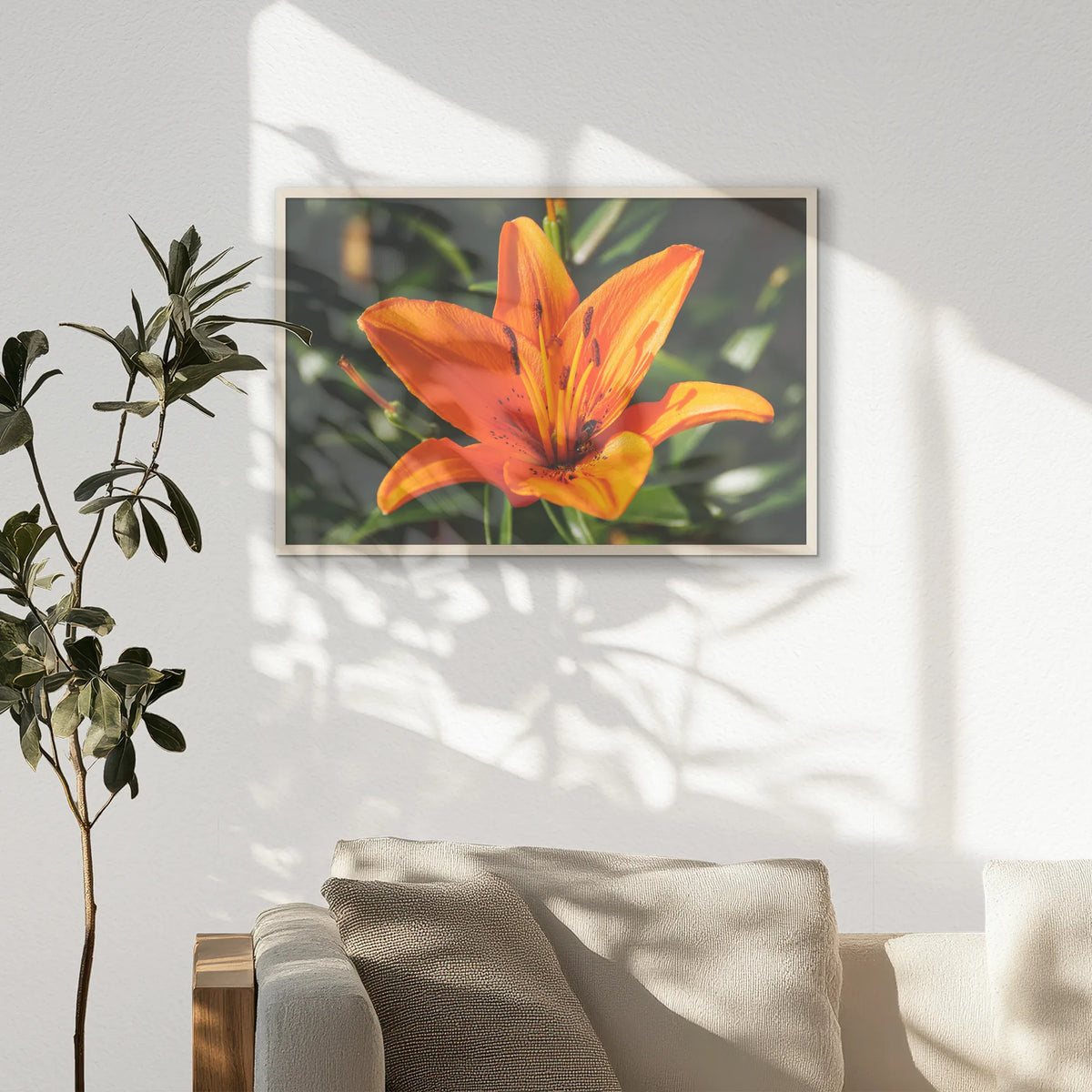 PN-093W062