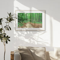 PNP093W062