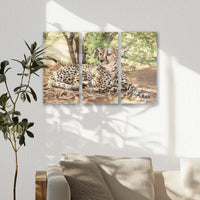 AC-060R040