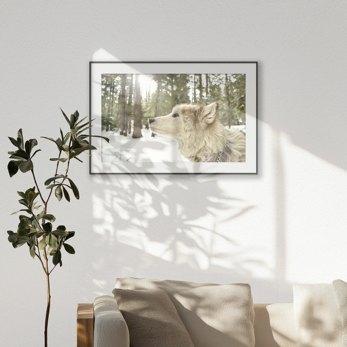 PBP120W080