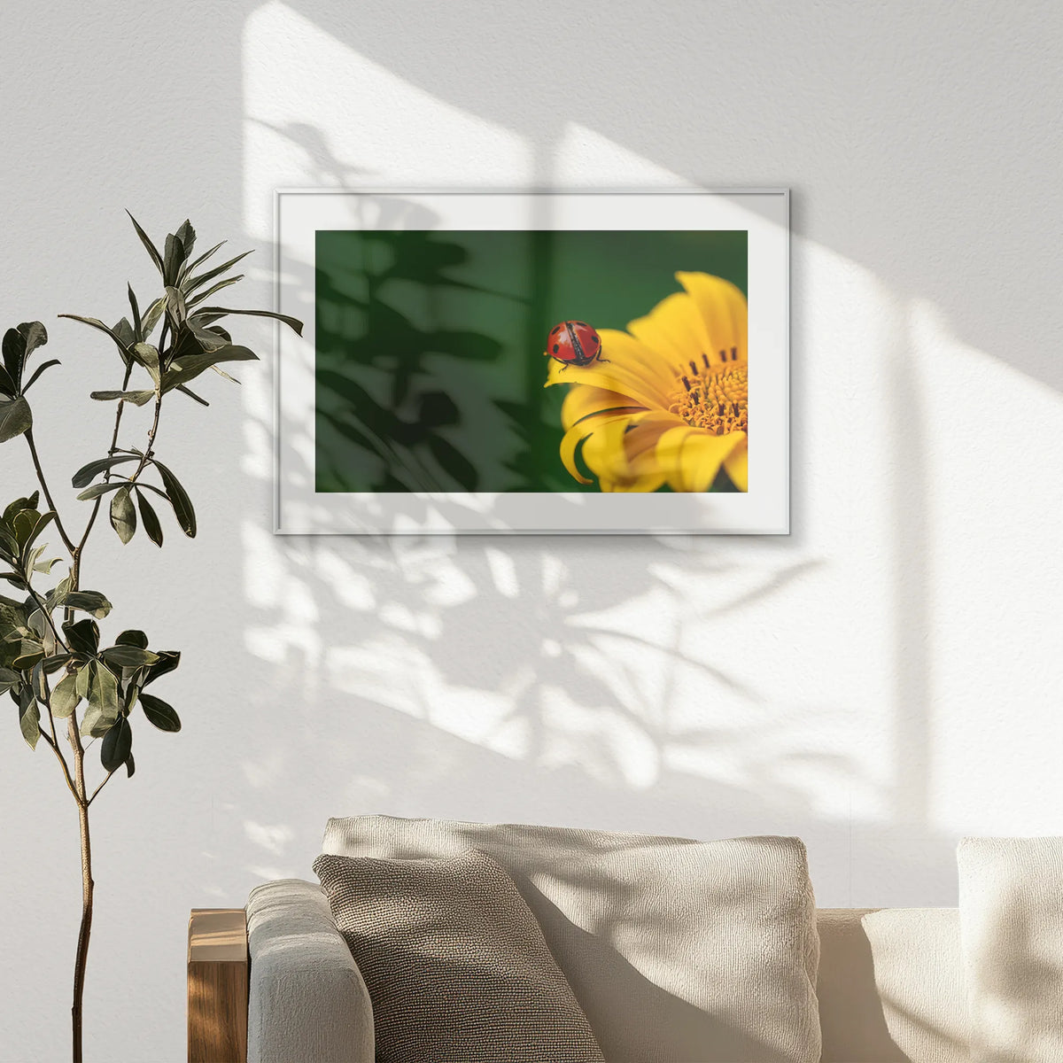 PSP093W062