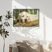 PK-093W062