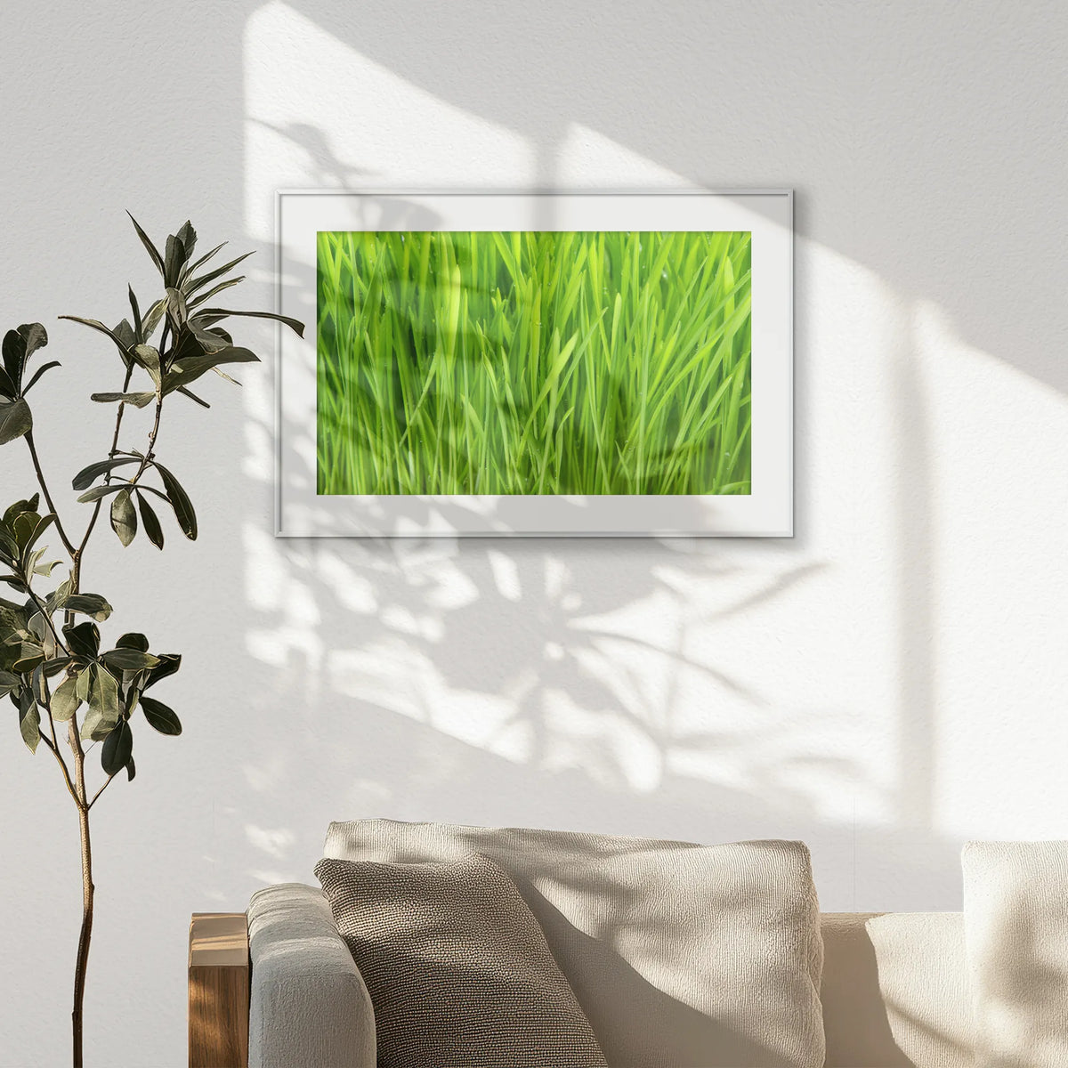 PSP093W062