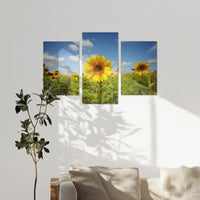 AL-180T120