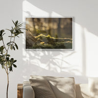 PW-093W062