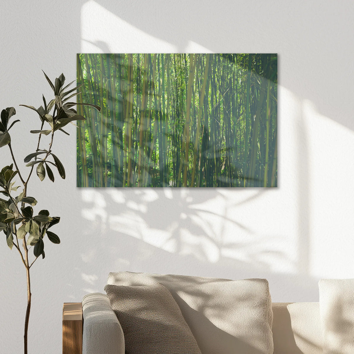 AC-075W050