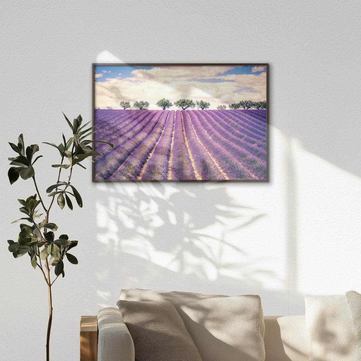 LWN120W080