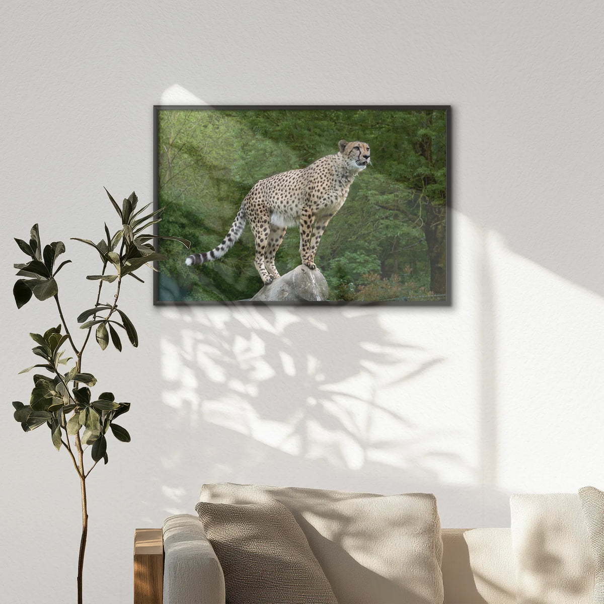 LWB120W080