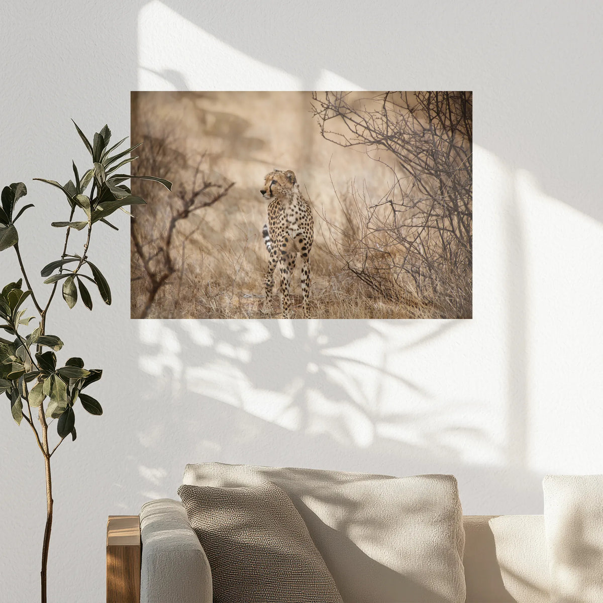 PO-090W060